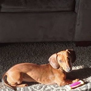 Meet your Posher, Sandra